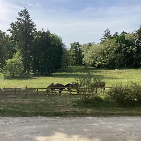 Chateau Y Fault 3* Loriges