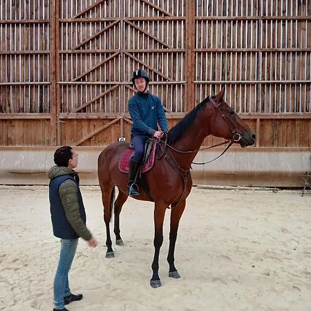 Bed & Breakfast Chateau Y Fault